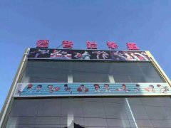 義馬徳智跆拳道。