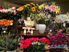高考樂理、視唱練耳、聲樂小三門、青少年（少兒）聲樂、中老年人