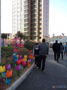 小高層小面積