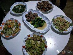 月嫂、育嬰、催乳、保姆、護工、保潔