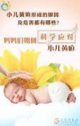 義馬愛子緣家政{信息部}