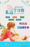 免費月嫂，護工，廚師火熱招生中