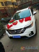 義澠傳祺婚慶車隊