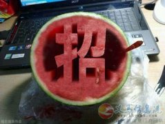 VJT護膚品免費領(lǐng)取試用裝，招代理