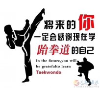 義馬悟道國(guó)際跆拳道