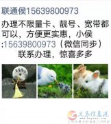 聯(lián)通寬帶、手機(jī)卡-侯